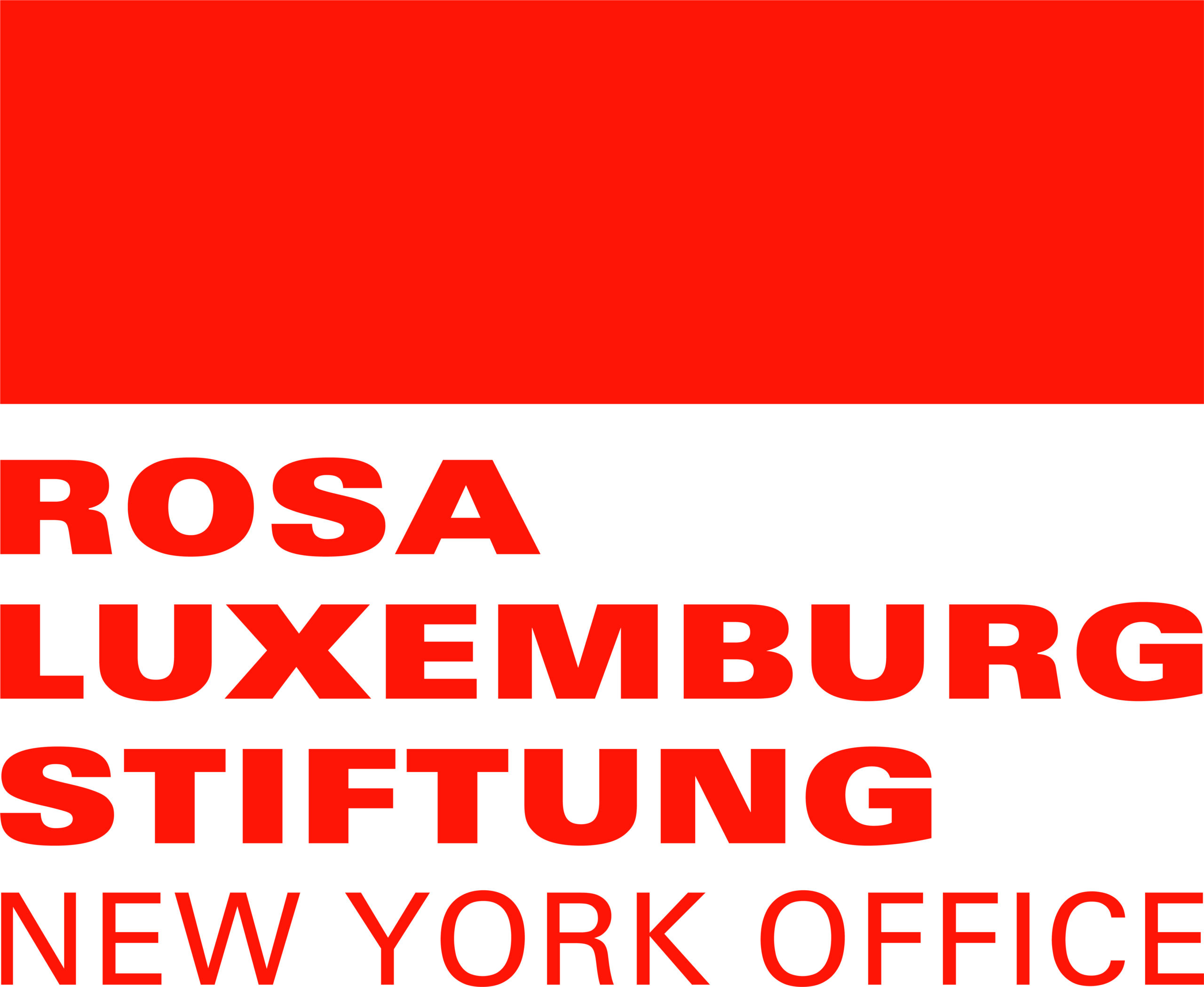 Rosa Luxemburg Stiftung NYC logo